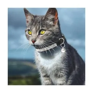 FLYSTAR Collar de gato con campana bonito collar de gato_6
