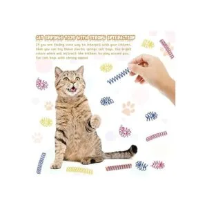 60 resortes finos y coloridos para gatos espirales_4