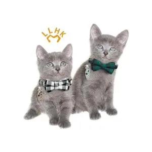 LLHK Paquete de 4 collares de gato pequeños con pajarita y_7