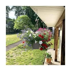 DINGEE Ganchos en S grandes y resistentes de 6 pulgadas_3