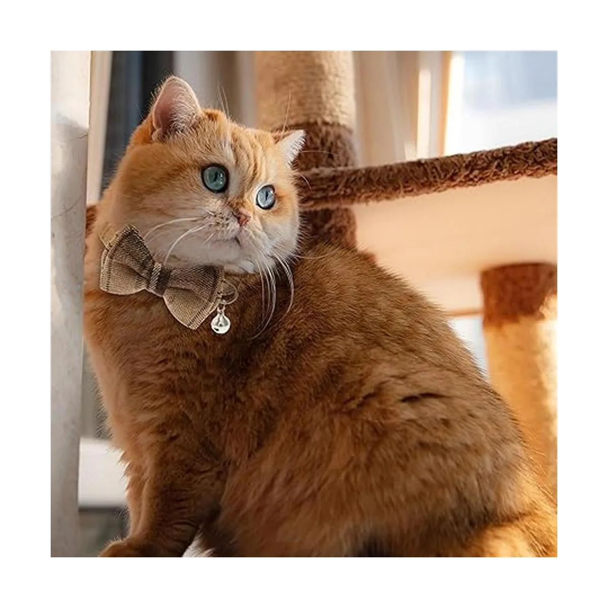 JVVGPET Breakaway Collares de gato Lindo collar de gato_6