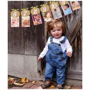 Cartel de fotos de calabaza para el primer cumpleaños_3