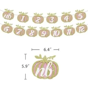 Cartel de fotos de calabaza para el primer cumpleaños_4