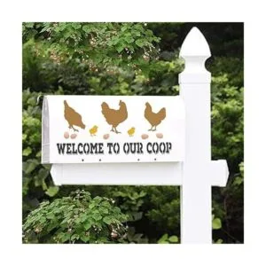 Plantillas de gallina de granja 4 piezas de huevos de_5