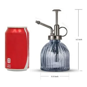 Ebristar Botella de cristal para plantas con pulverizador_2