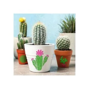 12 plantillas de cactus tropicales de arte de cactus de_7