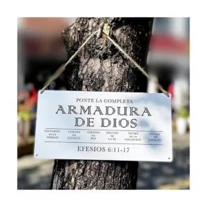 Placa de pared rústica para colgar en la pared de la_3