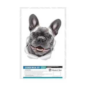 Winston Bear Adhesivos de pared para perro diseño de_6