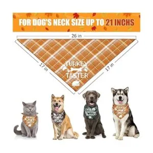 Paquete de 3 bandanas para perros de Acción de Gracias_2