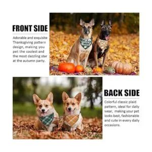 Paquete de 3 bandanas para perros de Acción de Gracias_4