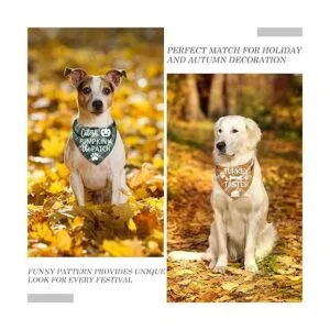 Paquete de 3 bandanas para perros de Acción de Gracias_6