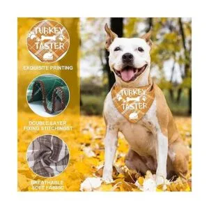 Paquete de 3 bandanas para perros de Acción de Gracias_3