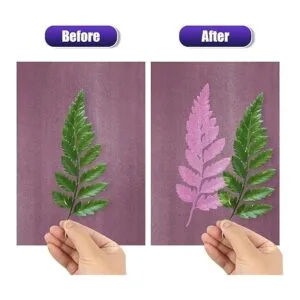 LIMOON Kit de papel colorido con estampado solar 24 hojas_4