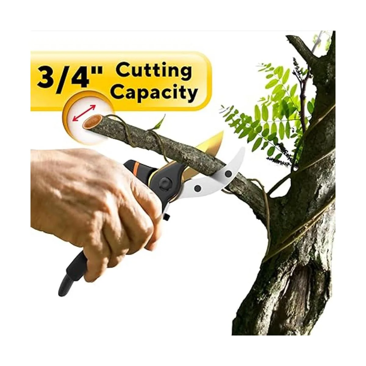 Tijeras de podar de derivación prémium para tu jardín_2