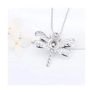 LGSY Colgantes de jaula de libélula chapados en plata para_4