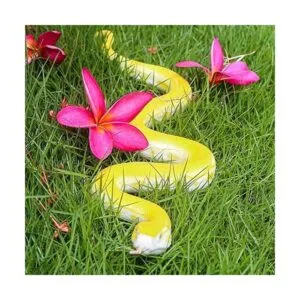 SIENON Juguete realista de serpientes falsas figura de_4