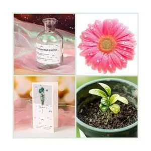 MIKIMIQI 1400 gotas de agua holográficas transparentes de_5