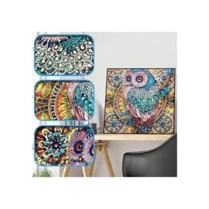 Hibah Juego de pintura de diamantes de imitación de forma_2