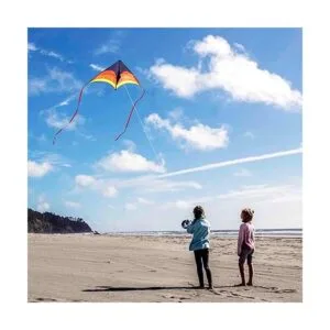Kaiciuss Delta Kite for Kids s Easy to Fly Large The_3