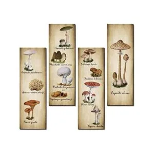 Paquete de 4 carteles de decoración de pared de hongos_1