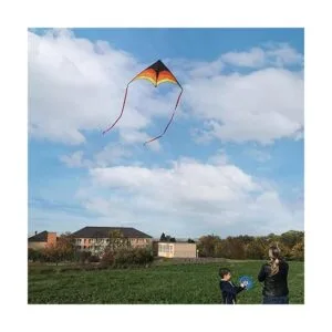 Kaiciuss Delta Kite for Kids s Easy to Fly Large The_4