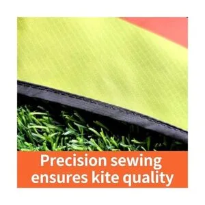 Kaiciuss Delta Kite for Kids s Easy to Fly Large The_6