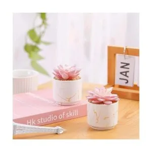 ZENIDA Plantas artificiales suculentas bonitas suculentas_2