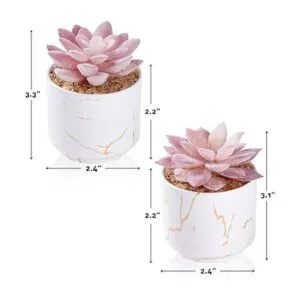 ZENIDA Plantas artificiales suculentas bonitas suculentas_4