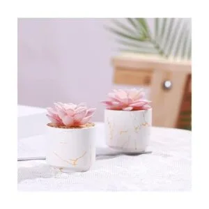 ZENIDA Plantas artificiales suculentas bonitas suculentas_6