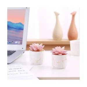 ZENIDA Plantas artificiales suculentas bonitas suculentas_5