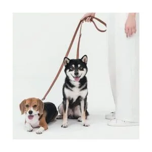 Picheng Tiras de cuero de 1 pulgada de ancho de 100_5