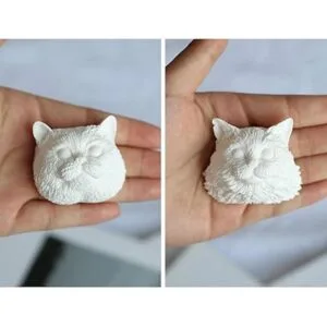 Set of 2 Pet Cat Silicone Resin Molds British Shorthair_5