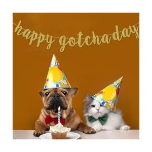 Happy Gotcha Day Banner suministros de decoración de_6