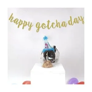 Happy Gotcha Day Banner suministros de decoración de_4