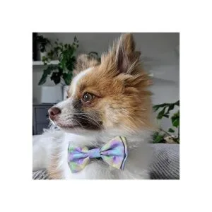 Huxley Kent Pajarita para mascotas color lavanda y_5