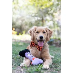 Huxley Kent Pajarita para mascotas Linterna a cuadros_4