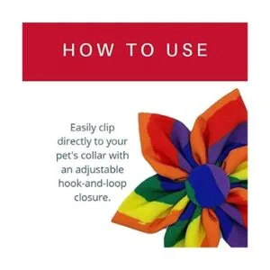 Huxley Kent Molinillo para mascotas Igualdad del_3