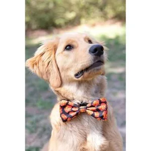 Huxley Kent Pajarita para mascotas Linterna a cuadros_3