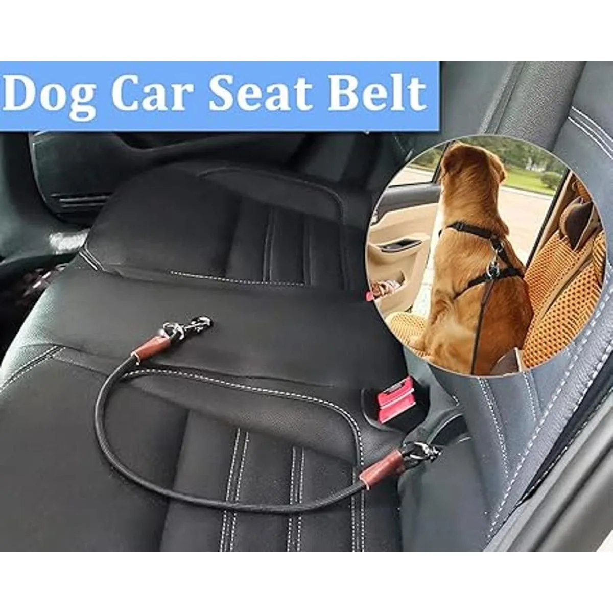 MayPaw Cinturón de seguridad para perros pequeños_3