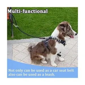 MayPaw Cinturón de seguridad para perros pequeños_6