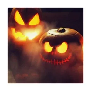 PULACO Mini máquina de niebla 12 LED Mister Fogger_2