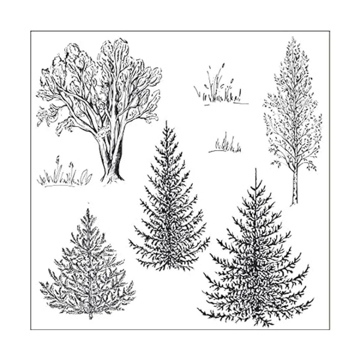 Guirongxin Sello transparente de animales salvajes y_2