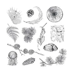 Guirongxin Sello transparente de animales salvajes y_5