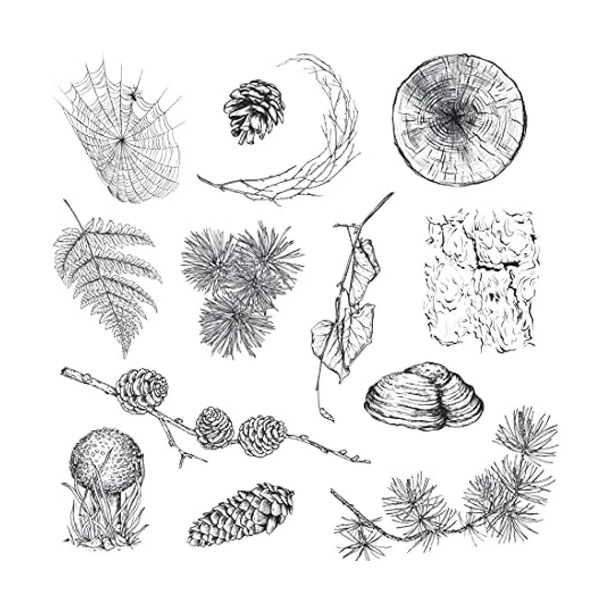 Guirongxin Sello transparente de animales salvajes y_5