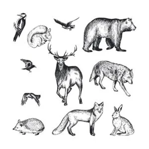 Guirongxin Sello transparente de animales salvajes y_4