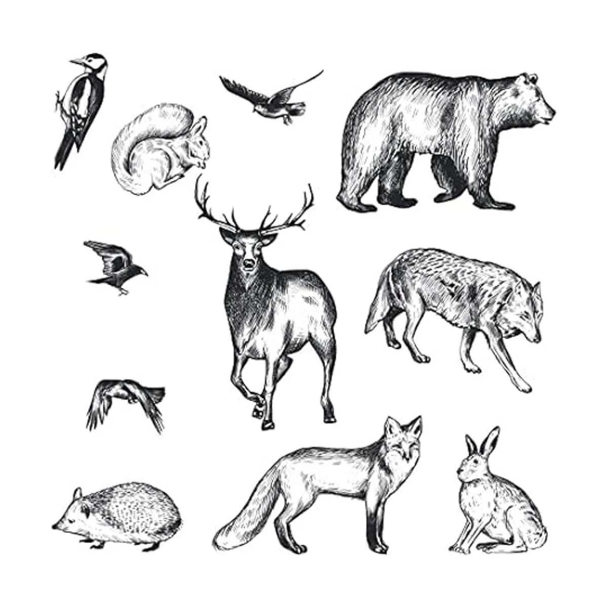 Guirongxin Sello transparente de animales salvajes y_4