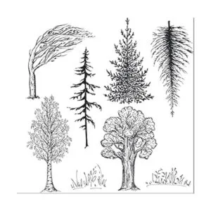 Guirongxin Sello transparente de animales salvajes y_3