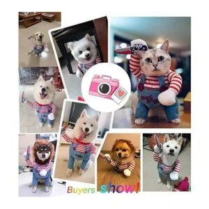 Disfraz de muñeca mortal para mascotas disfraz novedoso_4