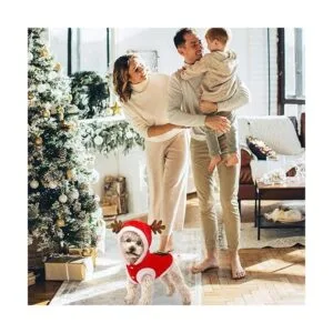 QETRABONE Disfraz de alce para perro pequeño disfraz de_4