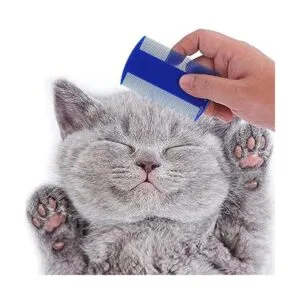 Kit de aseo para conejos de 6 piezas incluido cepillo de_6